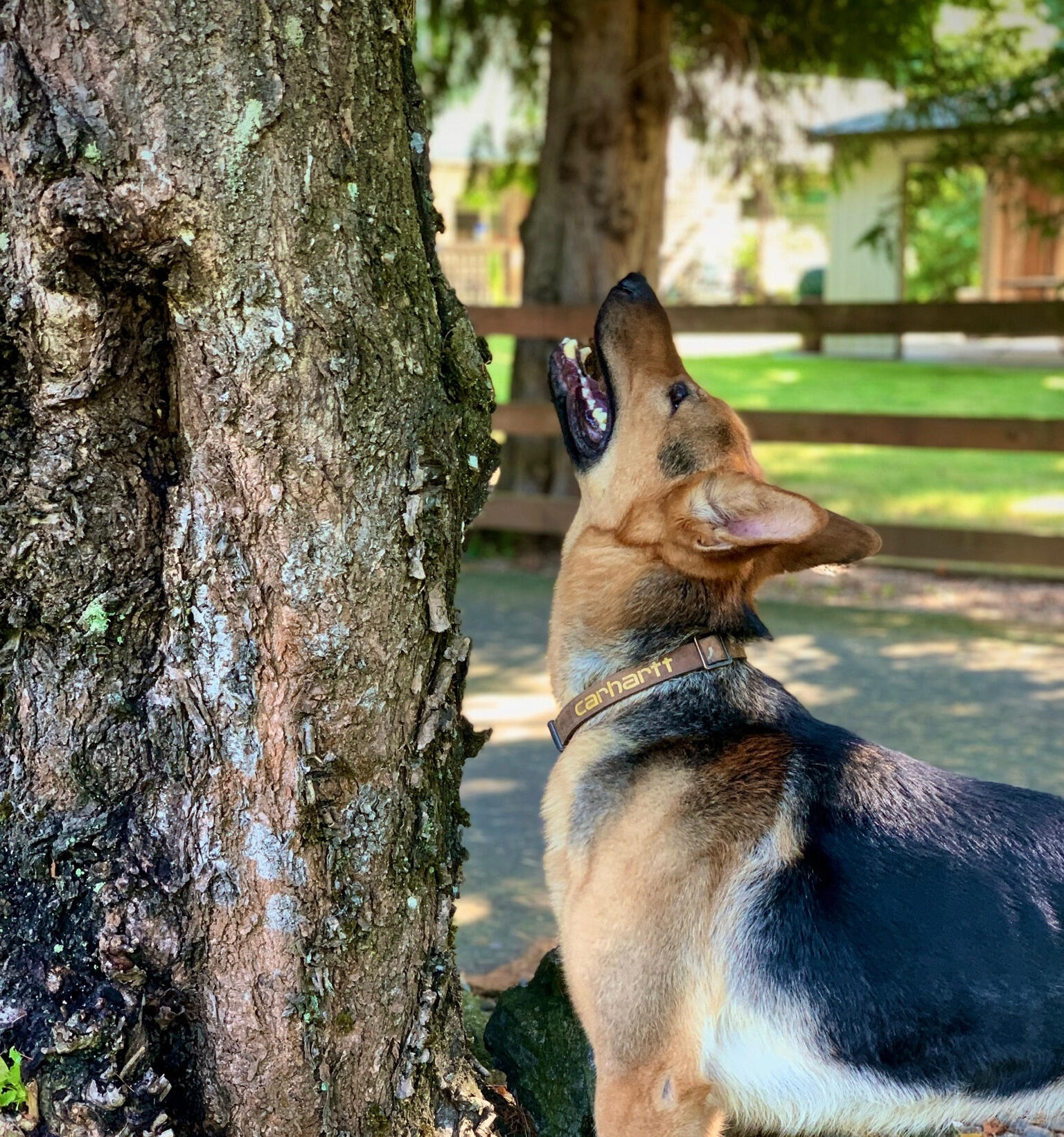 Abbotsford neighbourhood map